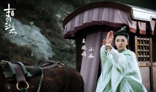 青云志演员表 这部剧讲的是什么