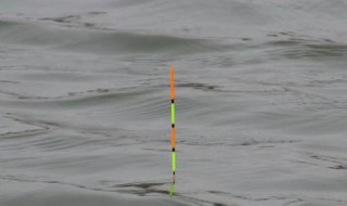 调平水适合什么情况用 调平水是什么