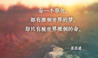 心灵鸡汤是什么意思 心灵鸡汤为何受欢迎