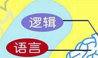 全脑开发课有必要上吗 建议上全脑开发课