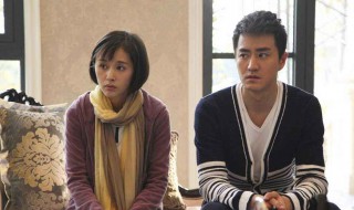 丁曼万天野什么电视剧 给大家介绍一下