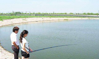 袖钩能钓多大鱼 下文介绍