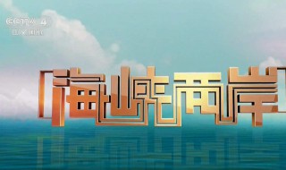 cctv4回放怎么看 中央电视台错过的节目怎么看回放或者重播