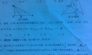 初一数学知识点 你知道了吗
