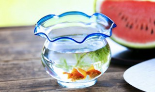 野钓经验心得 这些钓鱼的心得超级实用