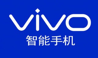vivo自带浏览器缓存路径 vivo自带浏览器信息
