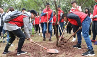 植树节可以做什么活动 你知道吗