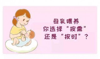 如何正确母乳喂养及技巧 你会了吗