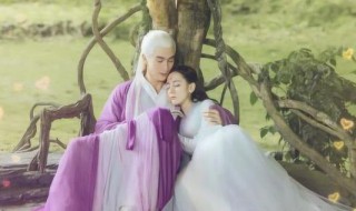 凤九怀上白滚滚是几集 进来看看