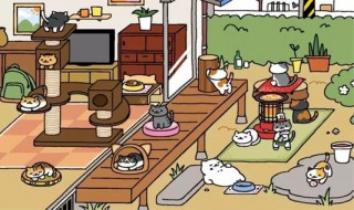 模拟养猫的游戏 养猫游戏推荐