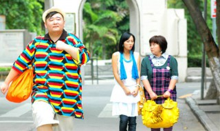 张晓柔是哪部电视剧 该剧讲述了什么故事