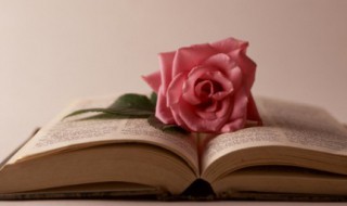 推荐一本好书理由简短 这三本力荐