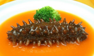 西红柿和海参能在一起吃吗 吃海参的禁忌