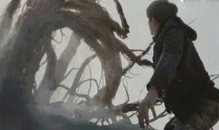 主角获得九头蛇柏的小说 对于这个怪物的介绍