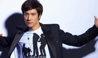 王力宏演过的电影有哪些 王力宏演过的电影你知道几部