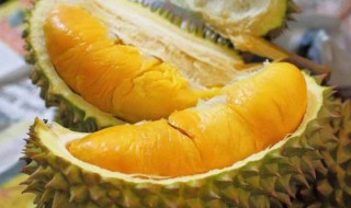 榴莲和蒜能一起吃吗 榴莲和蒜相克吗