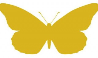 小学轴对称图形的特点 小学轴对称图形的特点简述