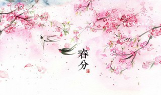 二十四节气春分是什么意思 太阳会直射地球赤道南北半球季节相反