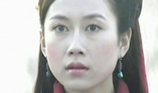 温峥嵘电视剧作品 这些作品您看过几部