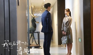 我站在桥上看风景（我站在桥上看风景小说）