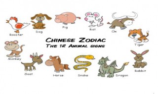 十二生肖年的英文表达 十二生肖的英文表达方式