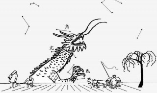 二月二为什么要理发（2月二为什么要理发）