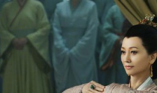 上阳赋角色介绍（上阳赋人物角色介绍）