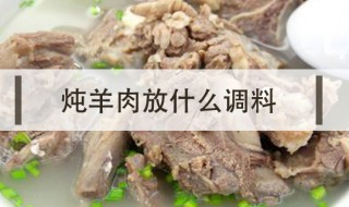 羊肉汤放什么调料（清炖羊肉汤放什么调料）