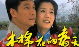 木棉花的春天剧情介绍（木棉花的春天每集简介）