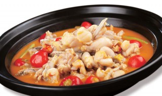 牛蛙的功效与作用（牛蛙的功效与作用及禁忌）