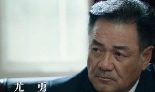 巡回检察组袁宏伟扮演者（袁宏伟巡回检察官）