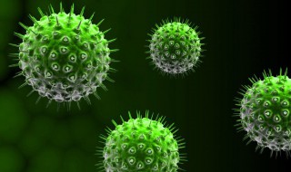 细菌有哪些种类（细菌有哪些种类10种）