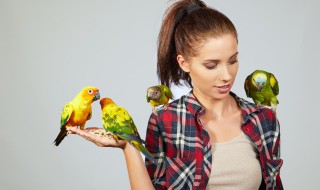 我国共有多少种鸟类 我国一共有多少种鸟