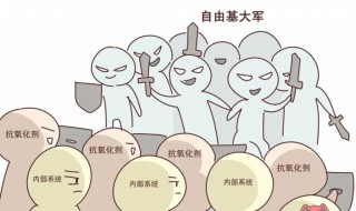 自由基如何对人体造成危害 自由基对人体有害吗