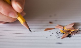 我心目中的春作文 我心目中的春作文800字