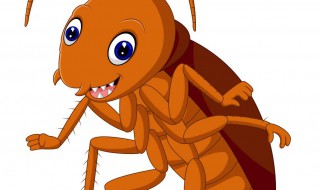 为什么蟑螂要叫小强 为什么蟑螂要叫小强推测