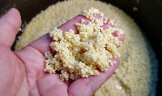 黍粟饭炊怎么弄 垂髫怎么做