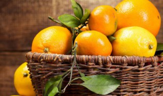 红美人种植技巧（红美人种植方法）