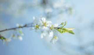 形容人生动荡不定的句子 形容人生动荡不定的句子简短