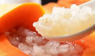 木瓜炖雪蛤的适宜人群和禁忌人群 木瓜炖雪蛤的功效和禁忌