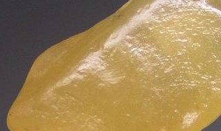 鸡油的药用价值（鸡油的药用价值是什么）