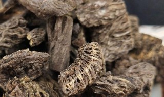 漏芦的营养价值 漏芦的功效与作用及禁忌是什么