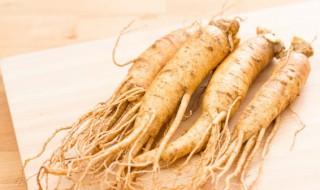 山参的功效与作用 林下山参的功效与作用