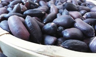 黑花生的功效与作用 黑花生的功效与作用及禁忌