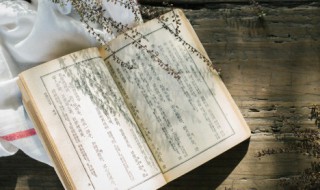 飞剑问道的简介(飞剑问道的简介女主角)