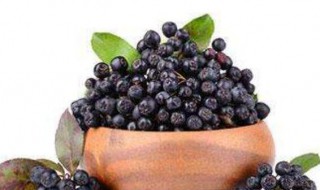 野樱莓泡水喝的功效与作用（野樱桃泡水喝的功效）