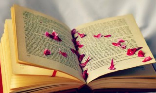 道教与佛教的最大区别（道教与佛教的最大区别是什么）