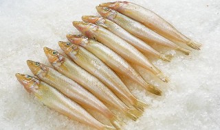 沙丁鱼的正确腌制方法 沙丁鱼腌制的做法