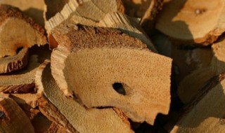 藤梨根的营养价值（藤梨根的营养价值与功效）