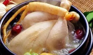 当归炖鸡的适宜人群和禁忌人群 当归炖鸡好不好